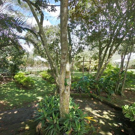 Tribu Ecohostal 洛斯桑托斯 外观 照片