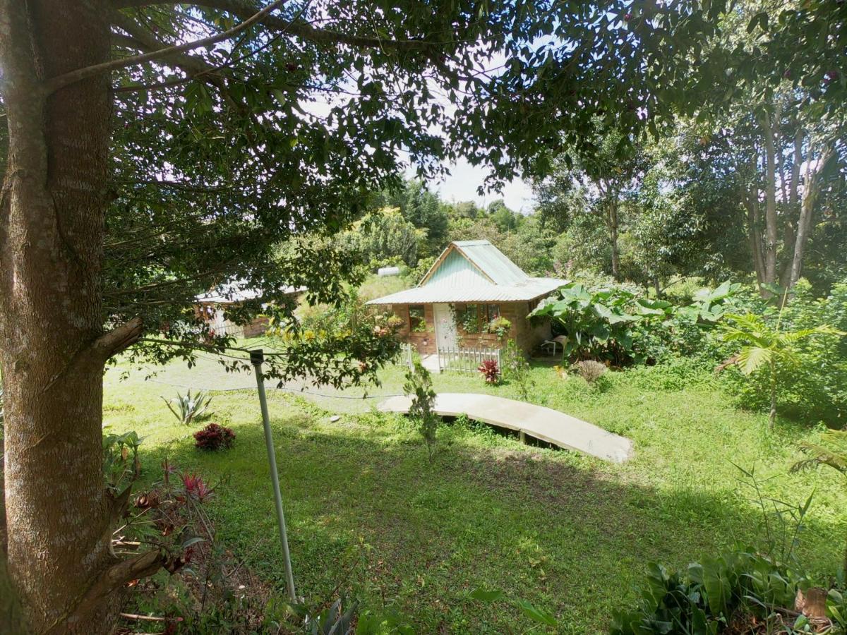 Tribu Ecohostal 洛斯桑托斯 外观 照片