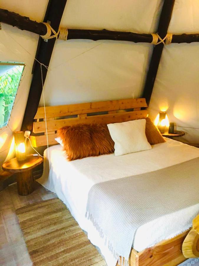 Tribu Ecohostal 洛斯桑托斯 外观 照片