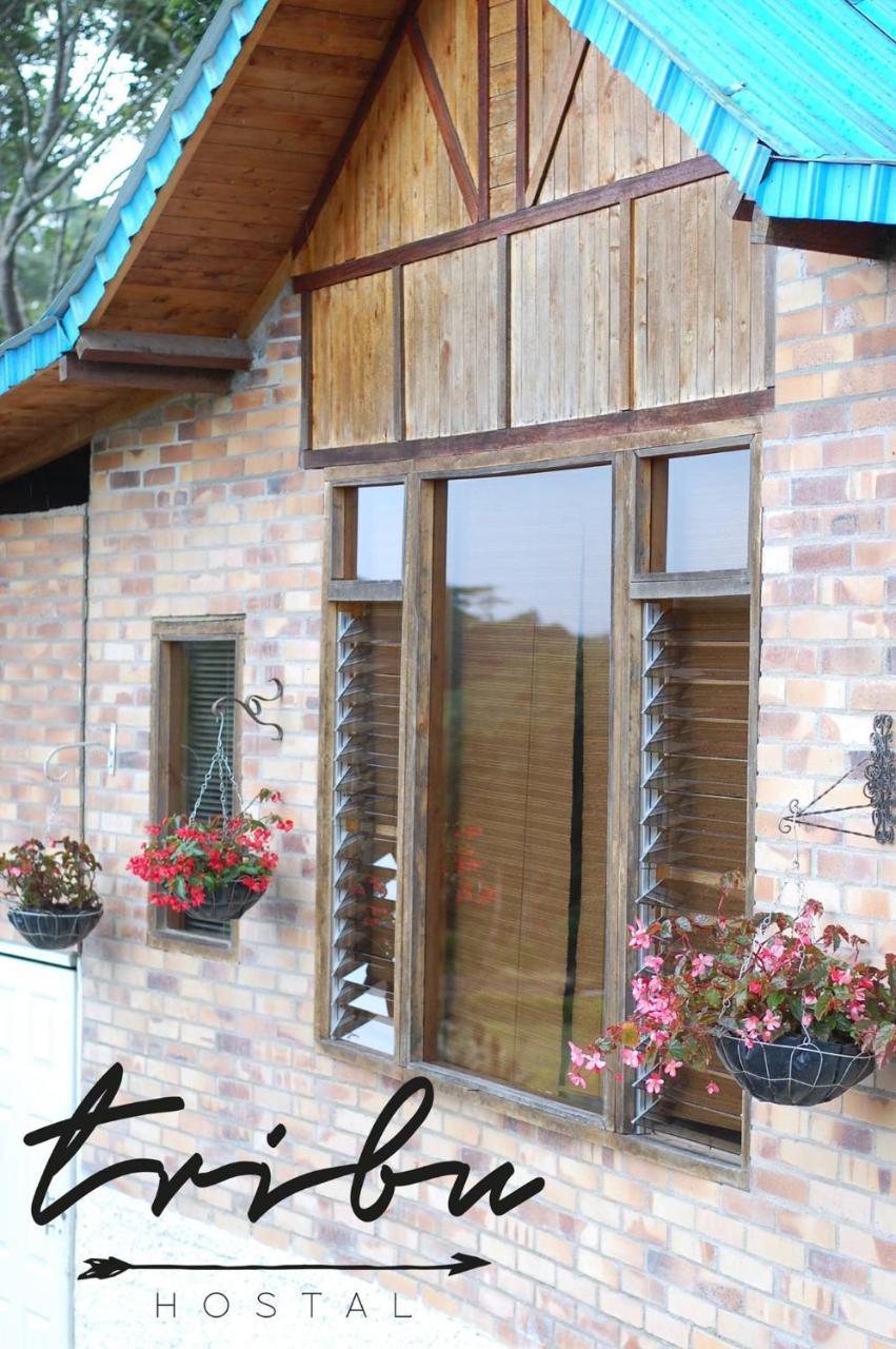 Tribu Ecohostal 洛斯桑托斯 外观 照片