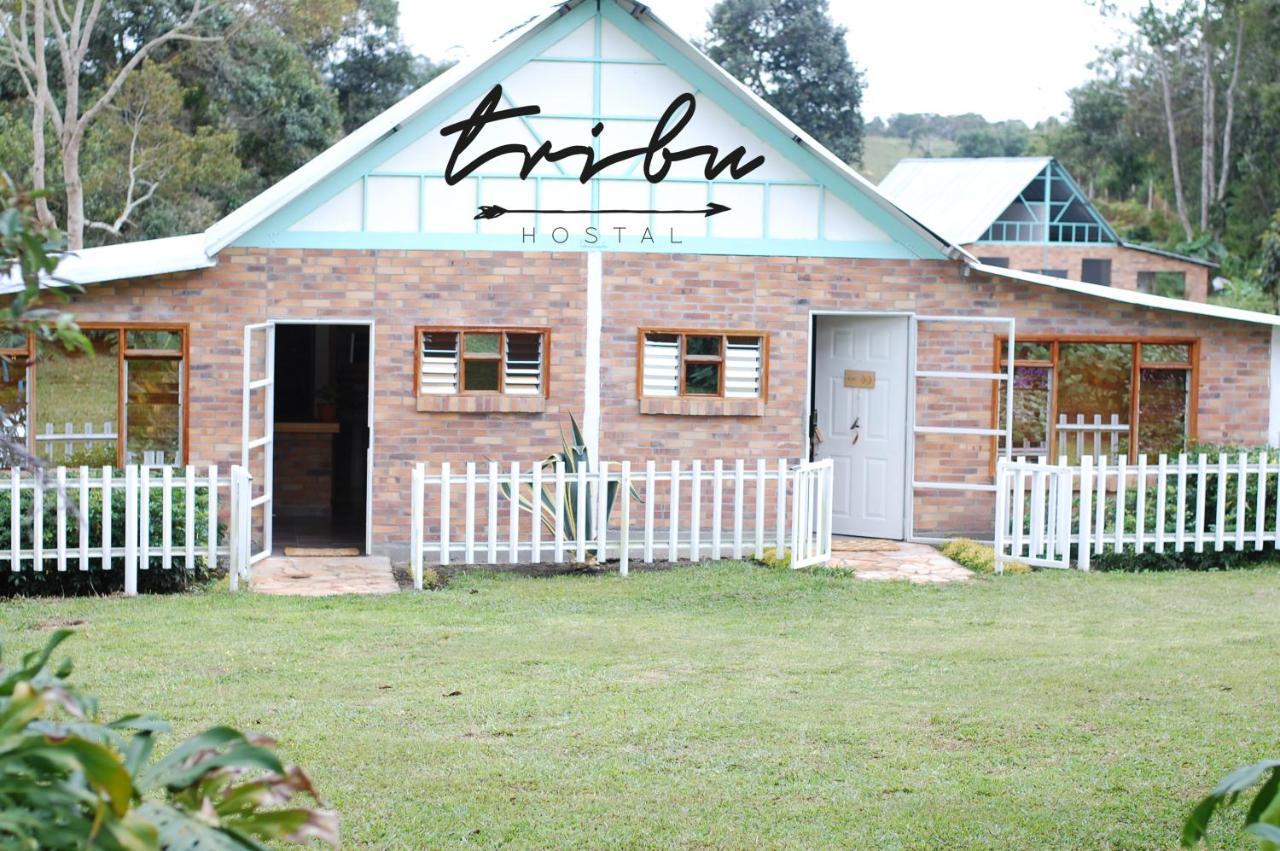 Tribu Ecohostal 洛斯桑托斯 外观 照片