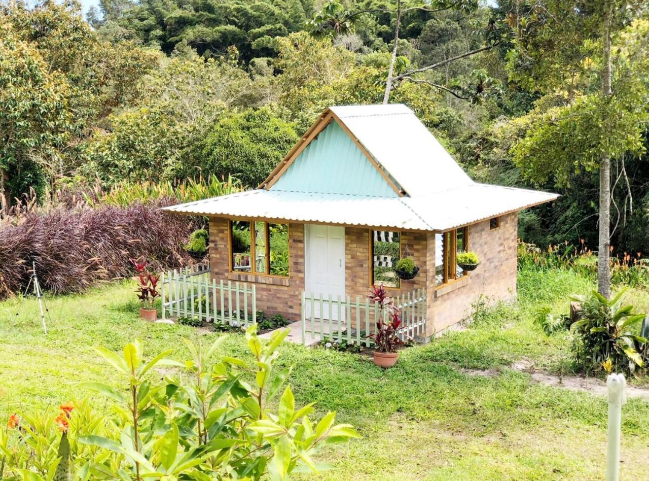 Tribu Ecohostal 洛斯桑托斯 外观 照片
