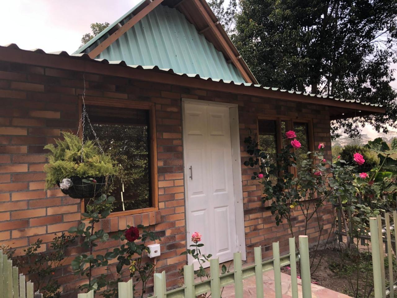 Tribu Ecohostal 洛斯桑托斯 外观 照片